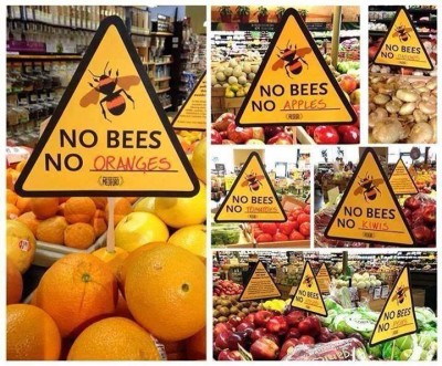 No bees.jpg