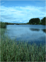 Looking back to the road bridge over Alemoor Loch.png