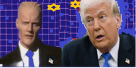 don fin.png